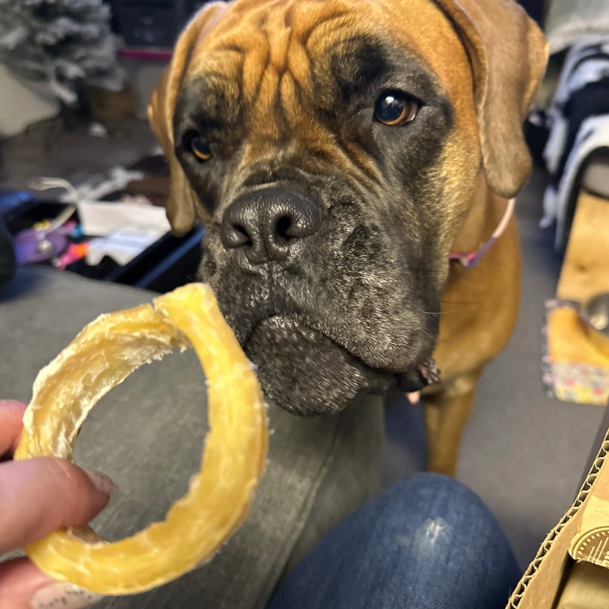 Bully Bunches Beef Backstrap Ring