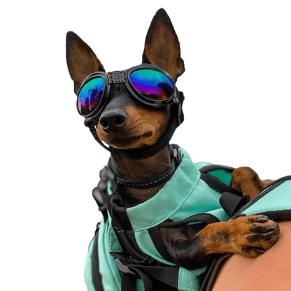 K9 Sport Sack K9 Sport Shades - Dog Goggles