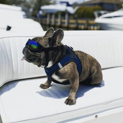 K9 Sport Sack K9 Sport Shades - Dog Goggles