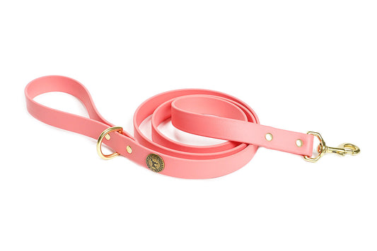 Pointer Traditions Sporting Dog Leash - Coral