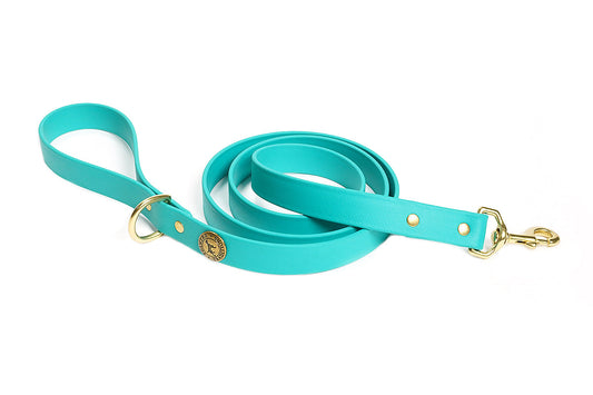 Pointer Traditions Sporting Dog Leash - Teal