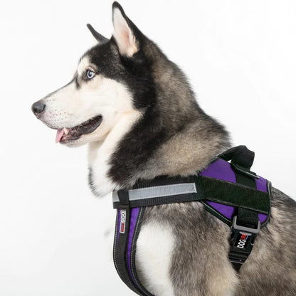 Dogline Unimax Multi-Purpose Harness