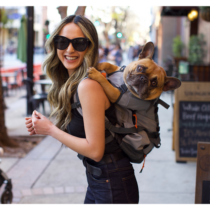 K9 Sport Sack Urban 3 | Dual Use Dog Carrier & Traditional Backpack