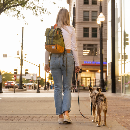 K9 Sport Sack Urban 3 | Dual Use Dog Carrier & Traditional Backpack