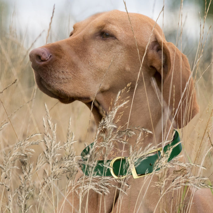 Viper Biothane Waterproof Dog Collar - Brass Hardware - Wide - Size XL (20" - 24")