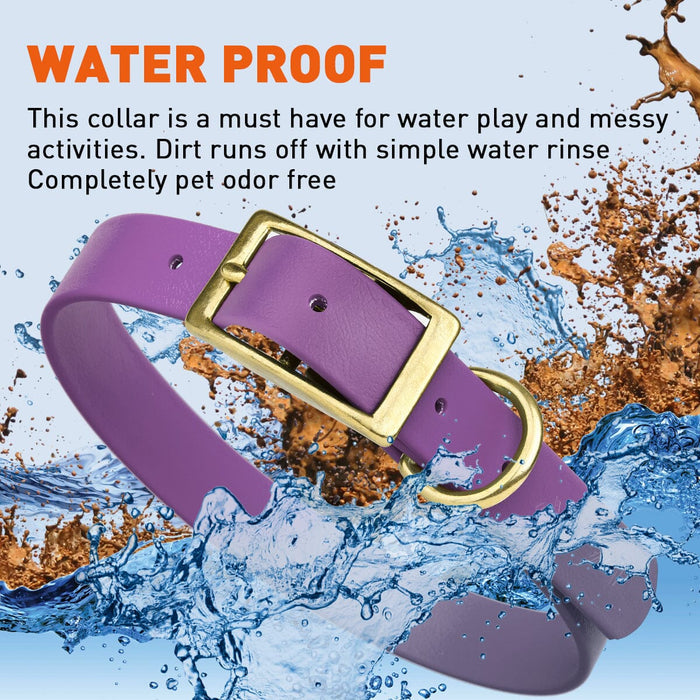 Viper Biothane Waterproof Dog Collar - Brass Hardware - Wide - Size L (16" - 20")