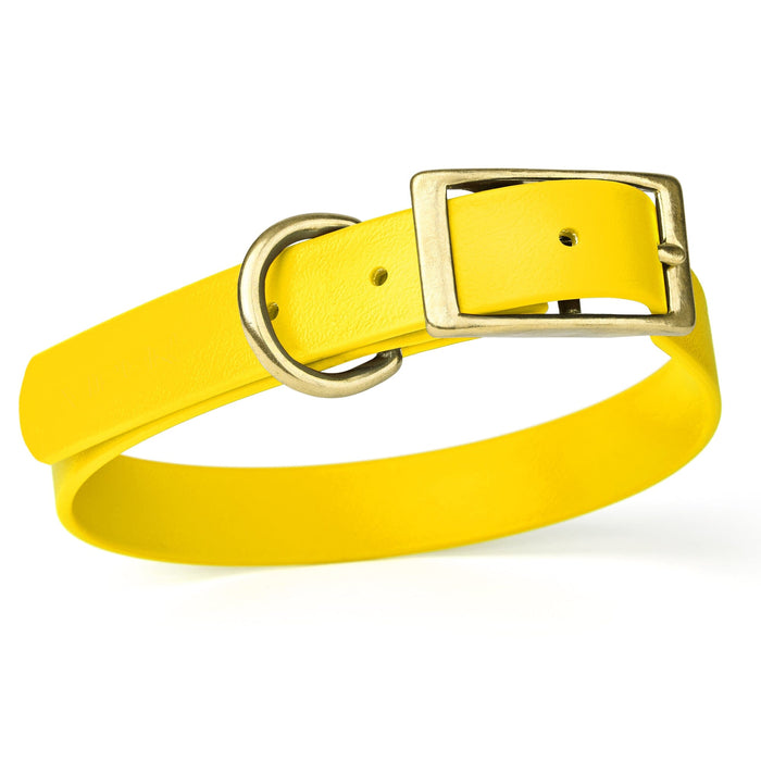 Viper Biothane Waterproof Dog Collar - Brass Hardware - Size XS (9" - 12")