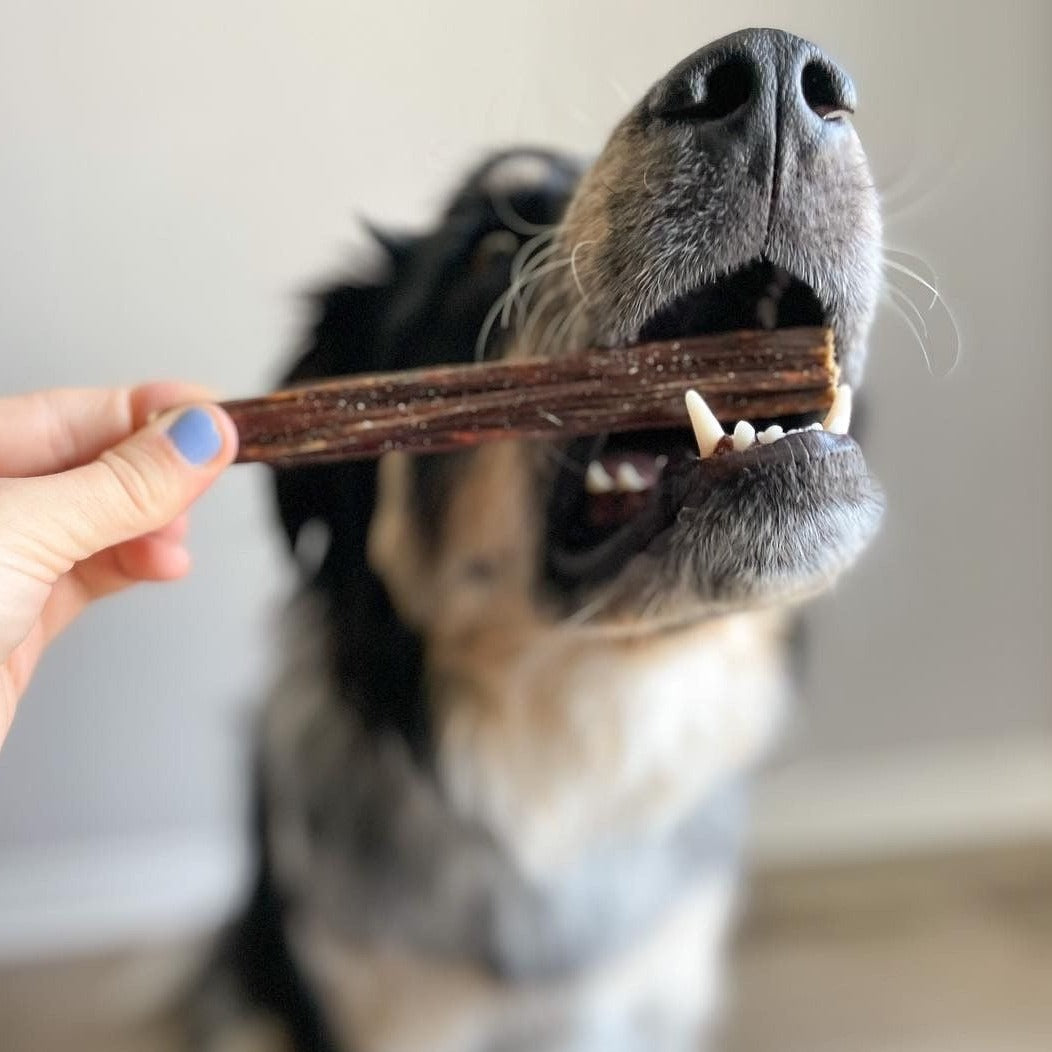 Bully Bunches 6 Inch Beef Jerky Stick
