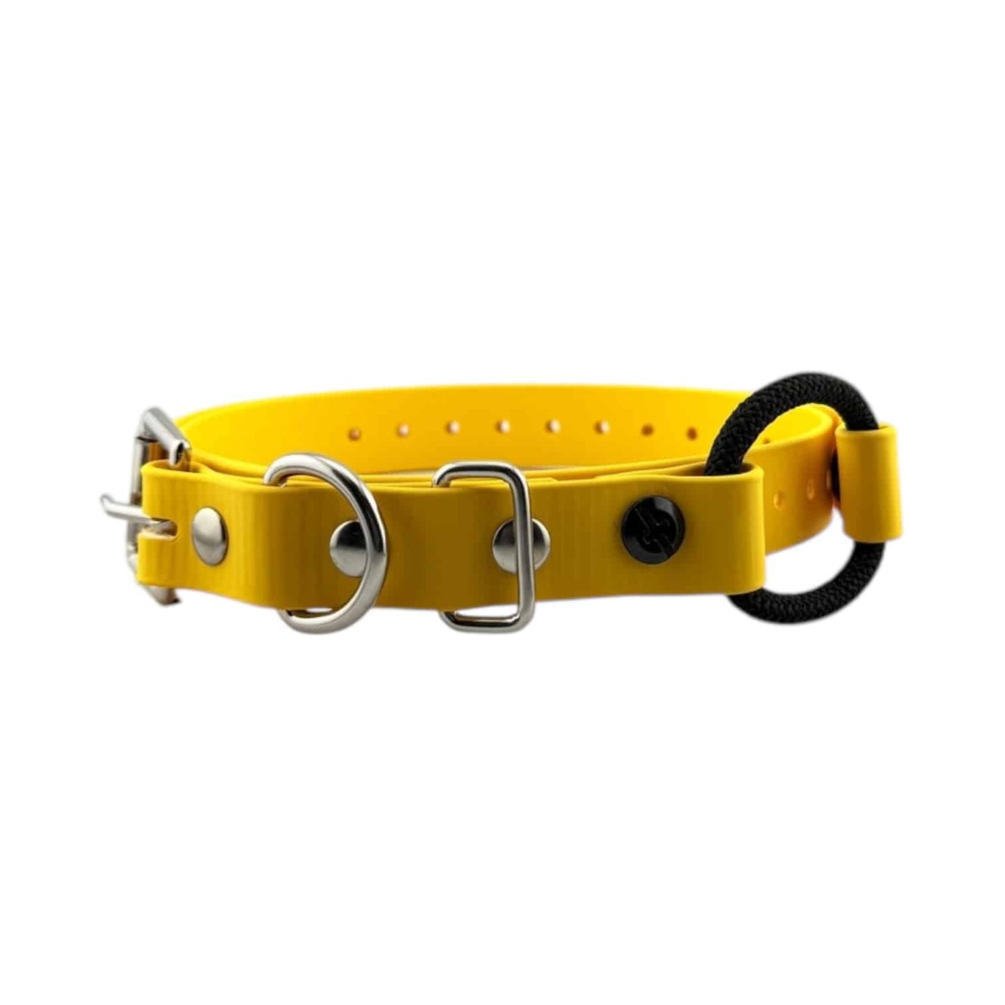 E-Collar Technologies 3/4" Bungee Collar Strap (33" Length)