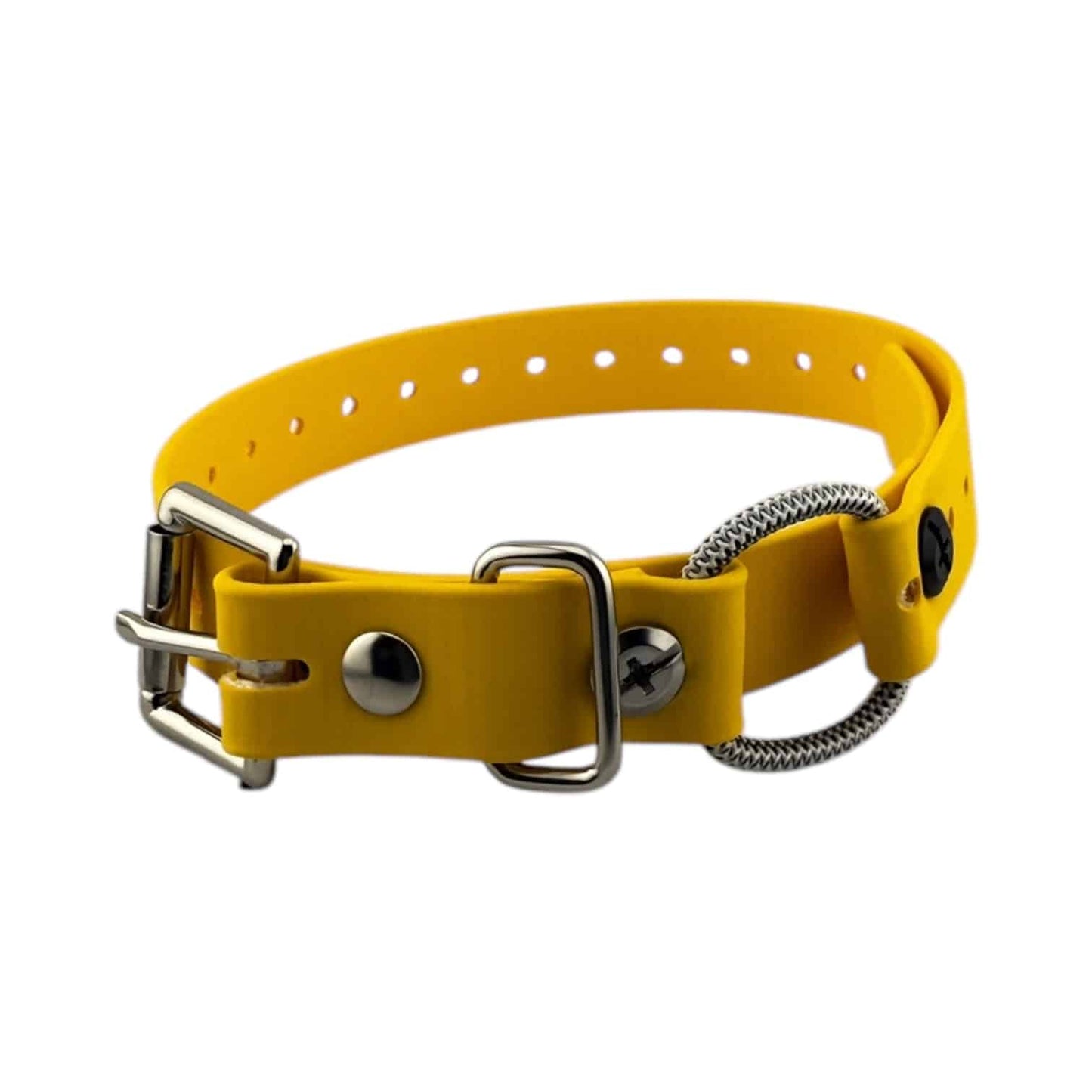 E-Collar Technologies 3/4" Mini Bungee Collar Strap for Small Dogs