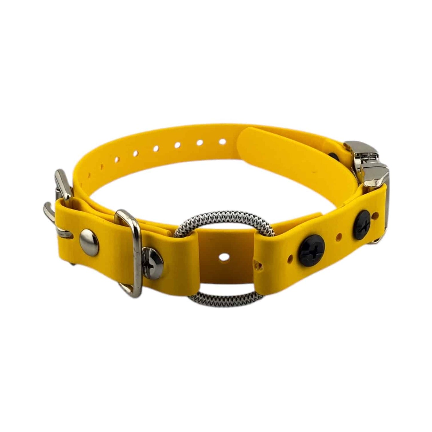 E-Collar Technologies 3/4" Quick Snap Mini Bungee Collar Strap for Small Dogs