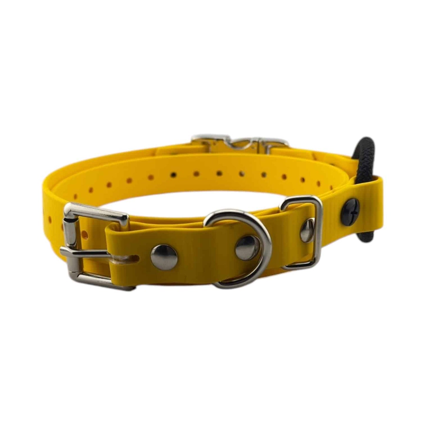 E-Collar Technologies 3/4" Quick-Snap Bungee Collar Strap