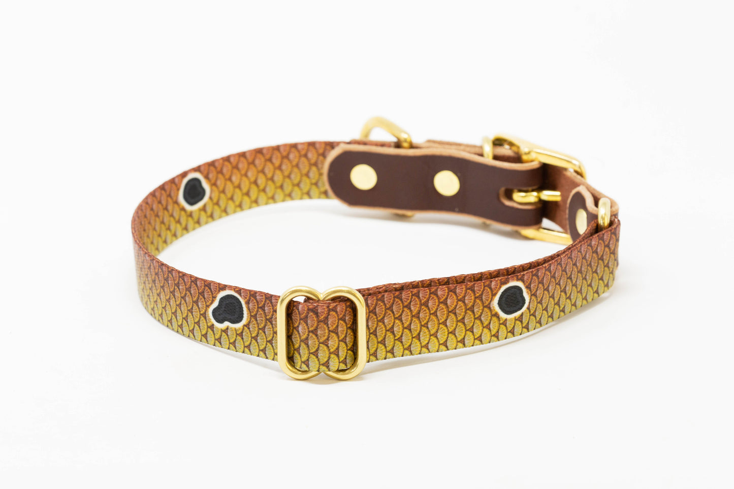 Whiskey Leather Works Saltwater Dog Collars