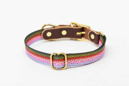 Whiskey Leather Works Freshwater Dog Collars