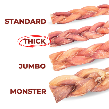 Bully Bunches 12 Inch Thick Braided Bully Stick