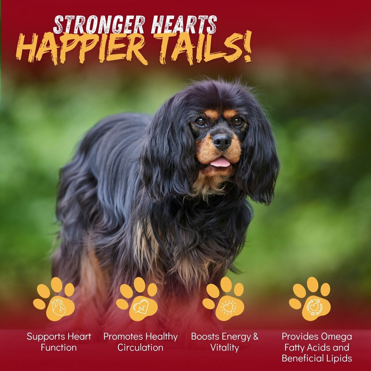 CardioChew – Advanced Heart Support Supplement for Dogs