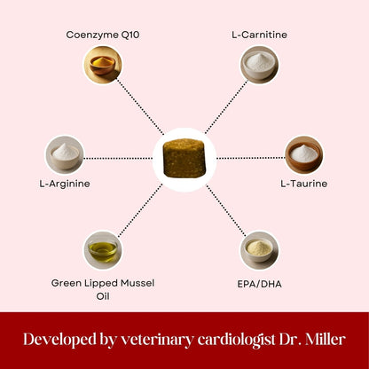 CardioChew – Advanced Heart Support Supplement for Dogs