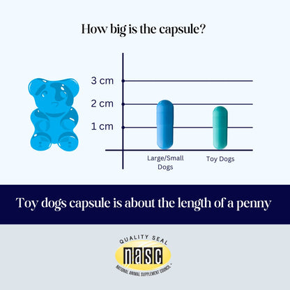 CogniCaps - Canine Cognitive Function Supplement for Dogs