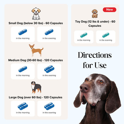 CogniCaps - Canine Cognitive Function Supplement for Dogs