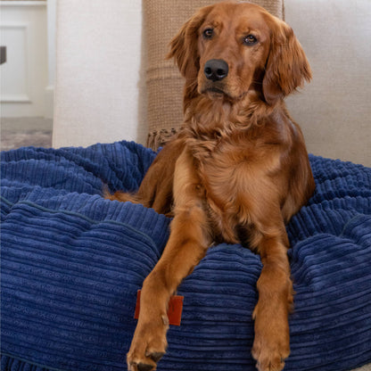 Cordaroy's  Inch Forever Dog Beds (Waterproof) - Terry Corduroy
