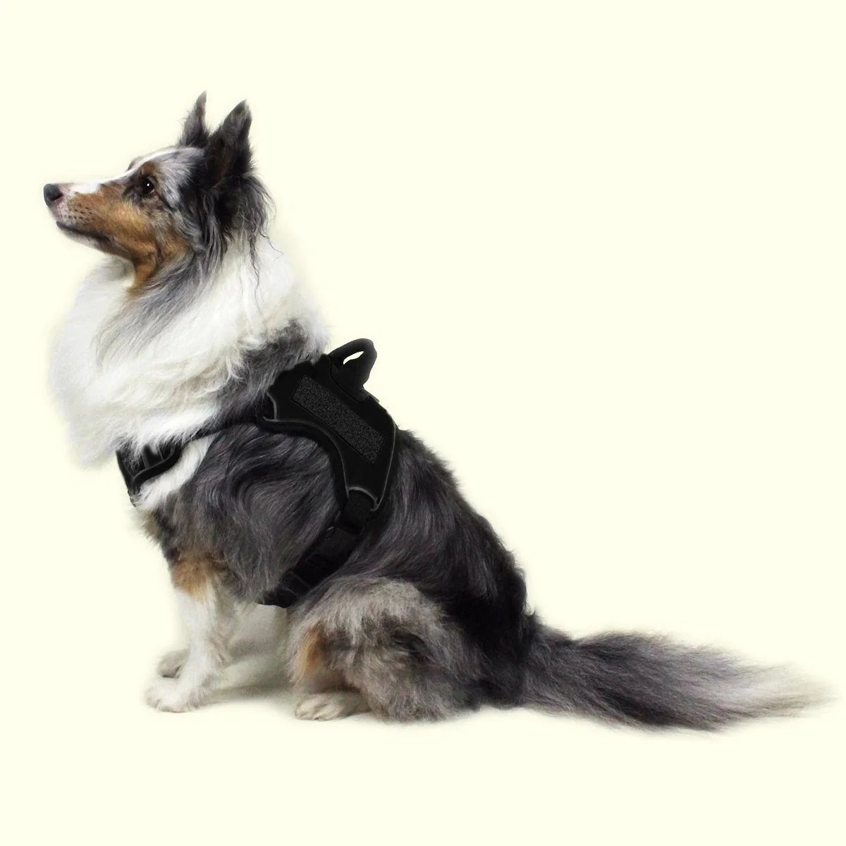 Dogline Quest Multi-Purpose No Pull Dog Harness