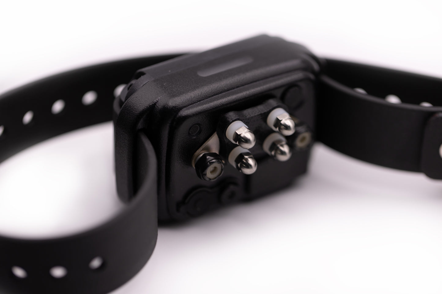E-Collar Technologies CPAD-024 Titanium Short Point Comfort Pad