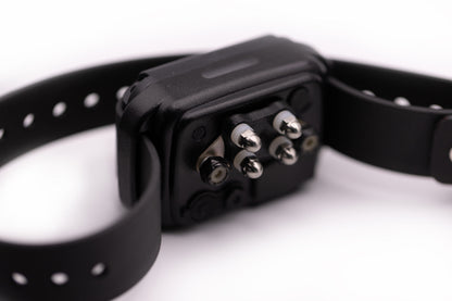 E-Collar Technologies CPAD-024 Titanium Short Point Comfort Pad
