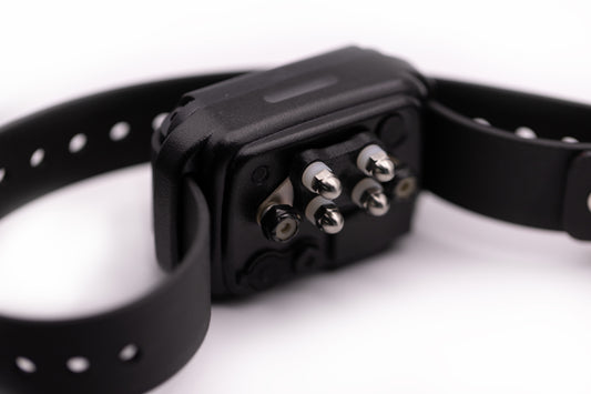 E-Collar Technologies CPAD-024 Titanium Short Point Comfort Pad