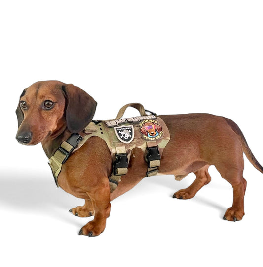 Kiloniner  K9R - M5 MOLLE Light Vest