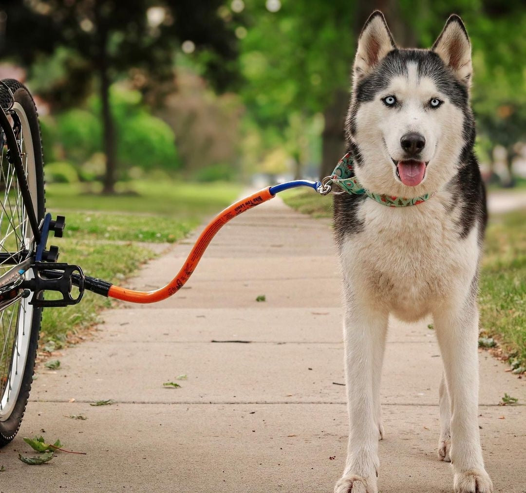 BTL Quick Mount Package