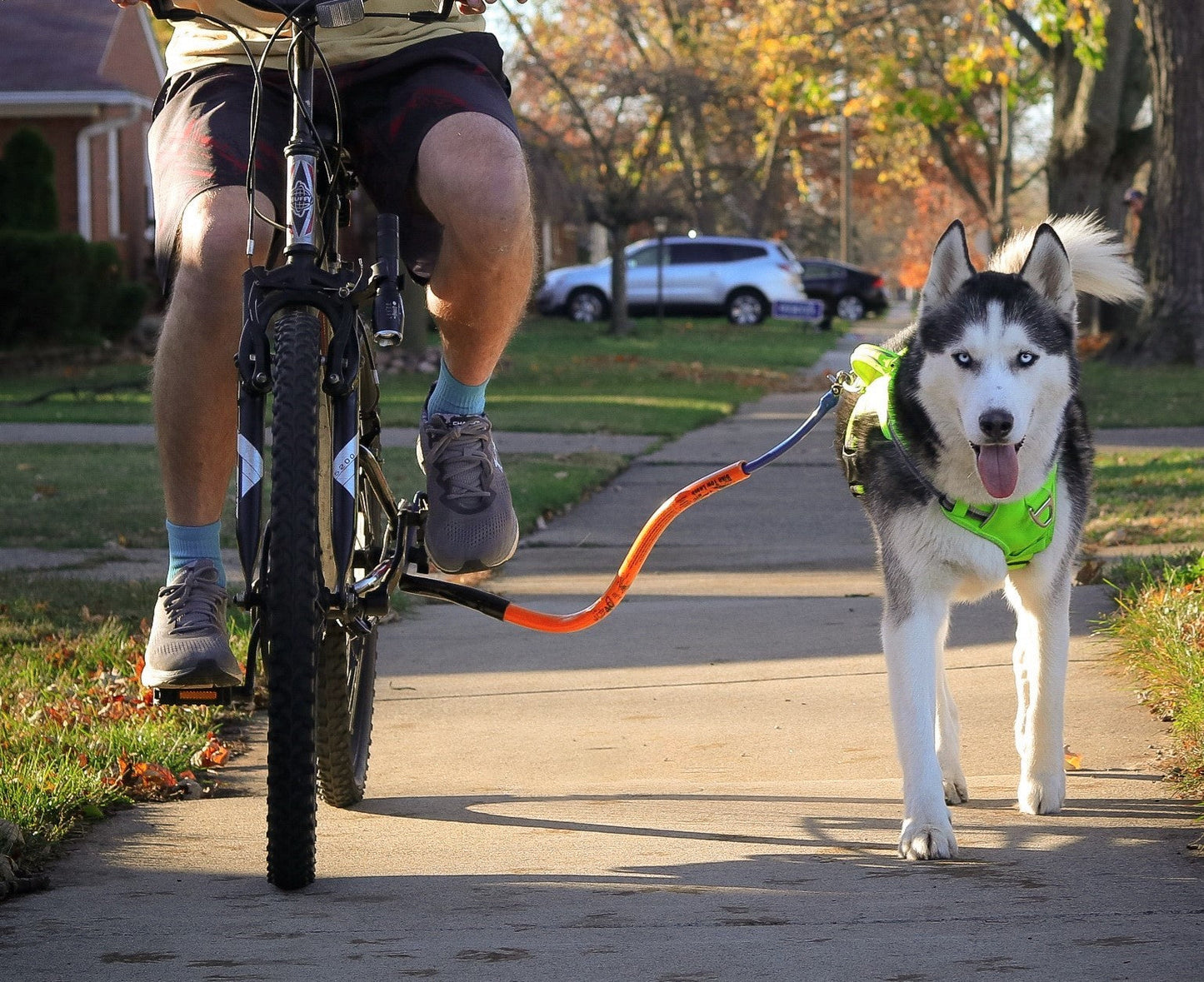 Bike Tow Leash