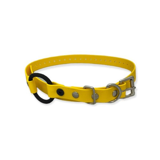 Educator Collars  3/4" Biothane Bungee Collar