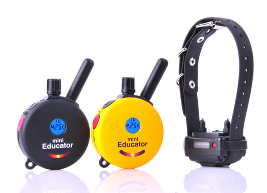 E-Collar Technologies ET-300 2T Mini Educator with 2Transmitters
