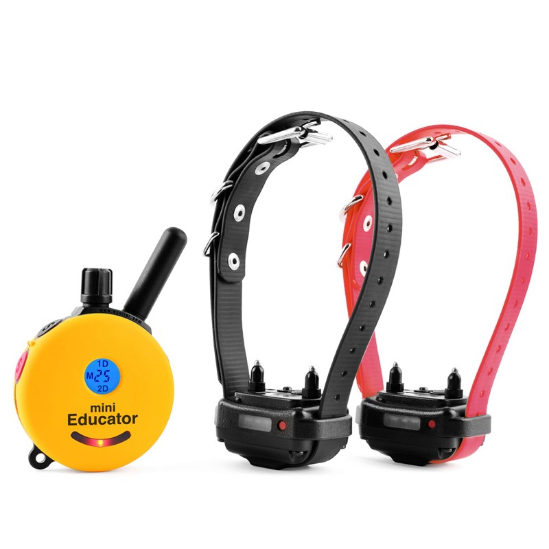 E-Collar Technologies ET-302 2 Dog Mini EDUCATOR E-Collar 1/2 Mile Remote Dog Trainter