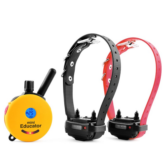 E-Collar Technologies ET-302 2 Dog Mini EDUCATOR E-Collar 1/2 Mile Remote Dog Trainter