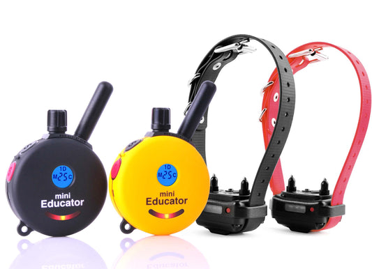 E-Collar Technologies ET-302 2T 2-Dog Mini Educator with 2 Transmitters