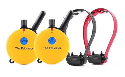 E-Collar Technologies ET-402 2T 2-Dog Educator with 2 Transmitters