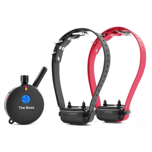 E-Collar Technologies ET-802 2 DOG œTHE BOSS REMOTE DOG TRAINER