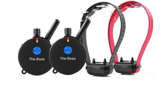 E-Collar Technologies ET-802 2T 2-Dog Boss Educator with 2 Transmitters