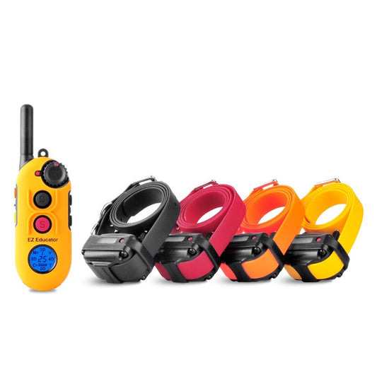 E-Collar Technologies EZ-904 4-Dog Easy Educator E-Collar