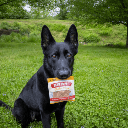 Farm to Pet Chicken Chip Snack Pack Bundles