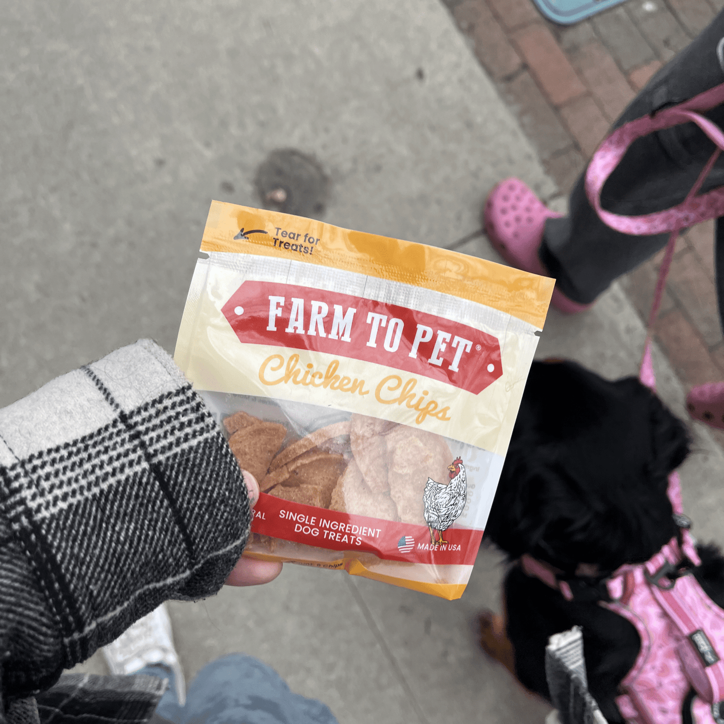 Farm to Pet Chicken Chip Snack Pack Bundles
