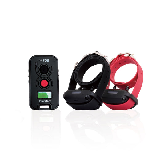 E-Collar Technologies FE-562 FOB EDUCATOR®