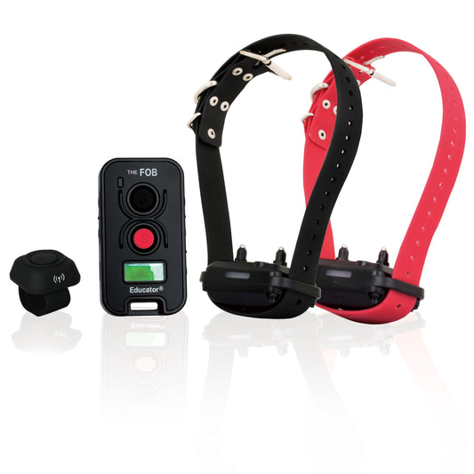 E-Collar Technologies FE-582 FOB EDUCATOR® With Finger Button
