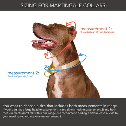 martingale collar / orange + lilac