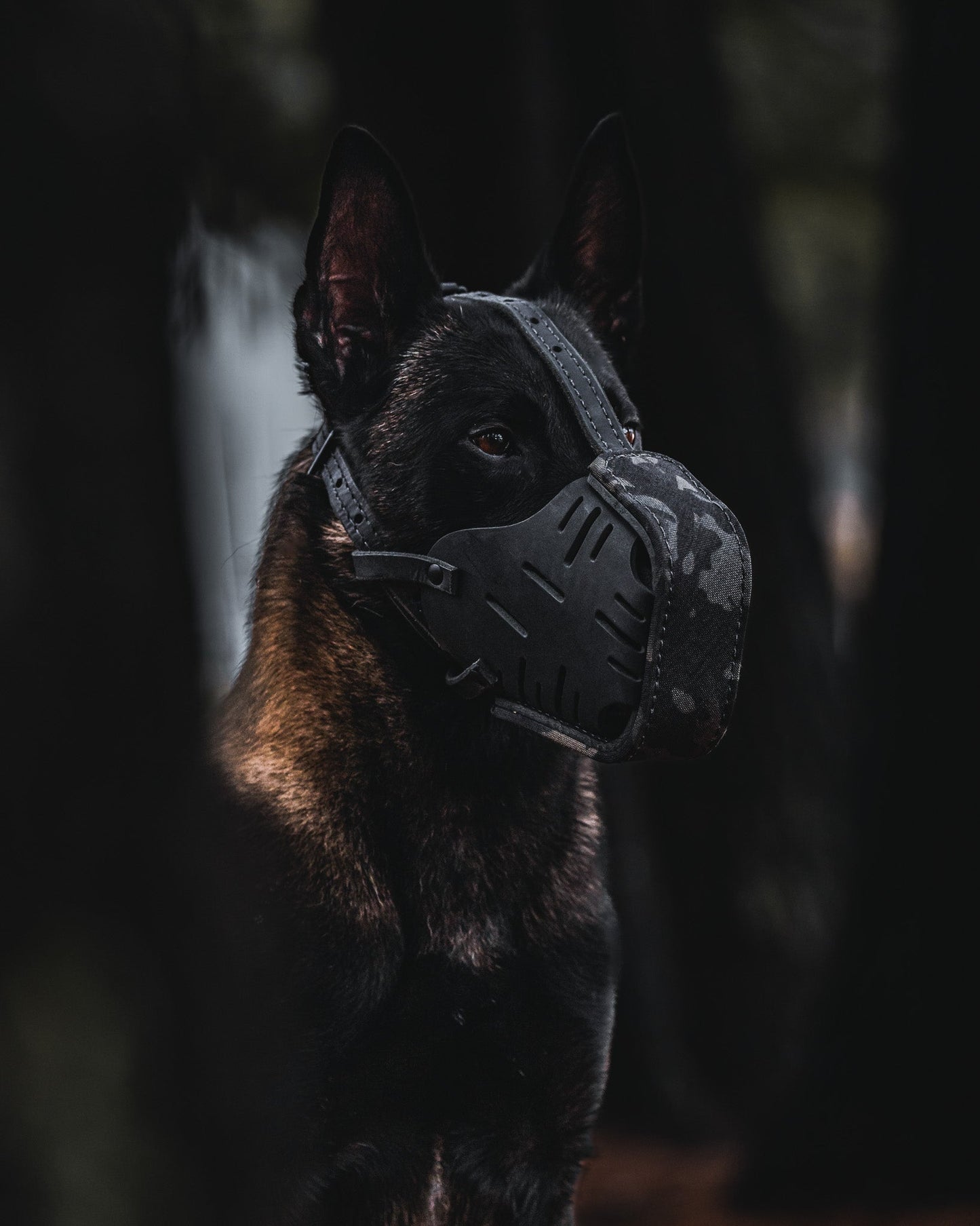 The Golden Ranch Black Multicam Cordura Wrapped Dog Muzzle