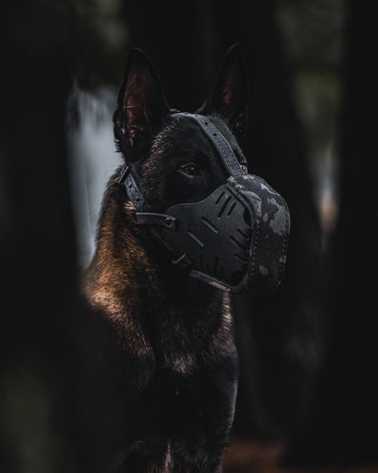The Golden Ranch Black Multicam Cordura Wrapped Dog Muzzle