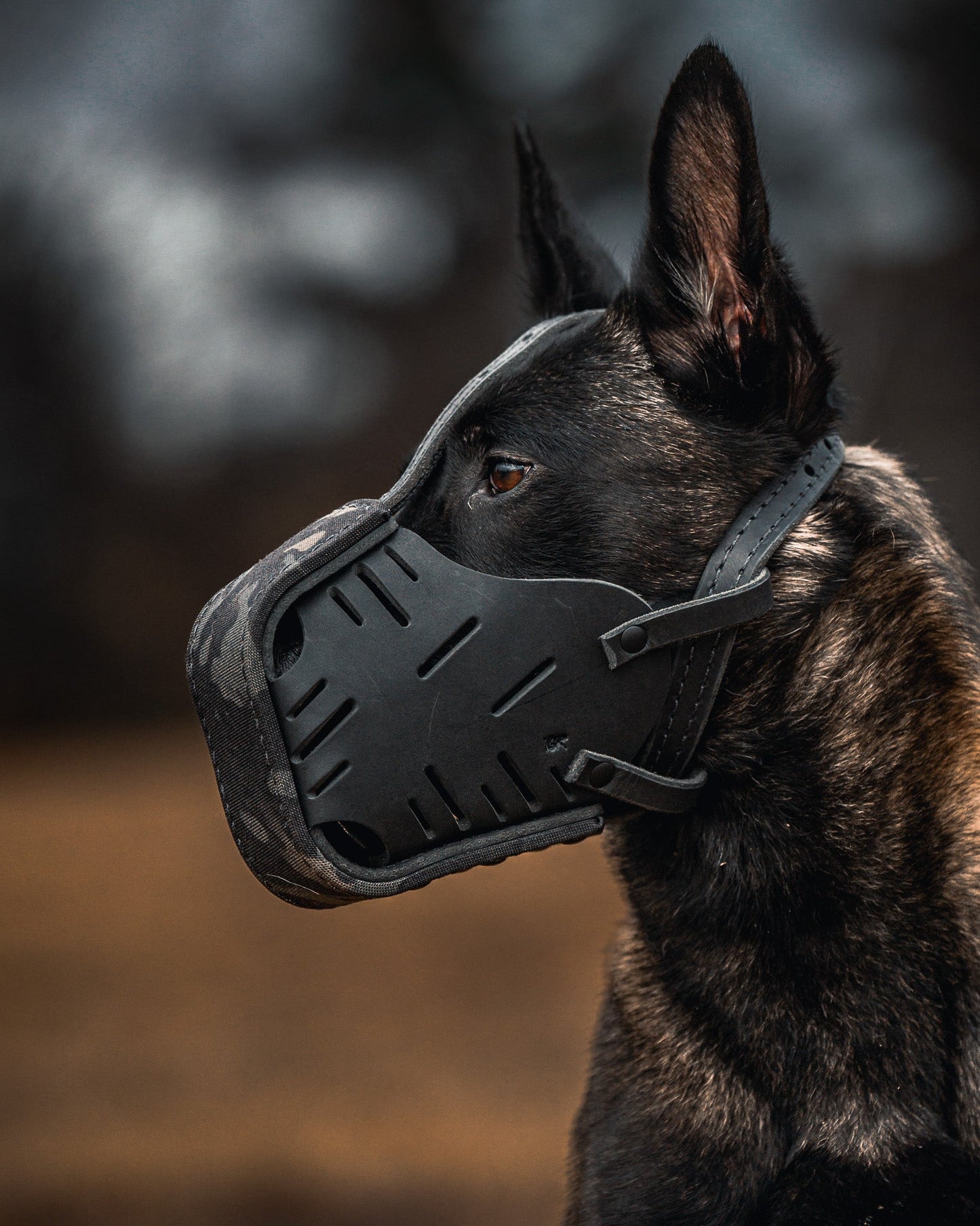 The Golden Ranch Black Multicam Cordura Wrapped Dog Muzzle