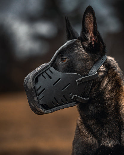 The Golden Ranch Black Multicam Cordura Wrapped Dog Muzzle