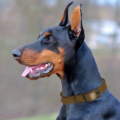 Biothane Waterproof Dog Collar - Medium (15 to 18 inches)